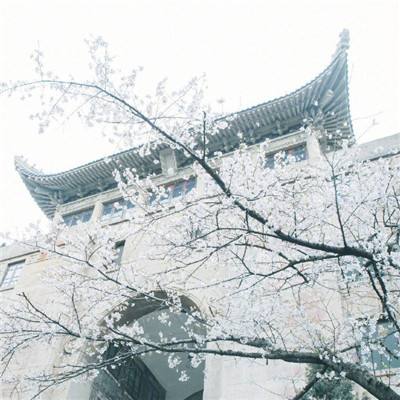 剑域成仙传最新版